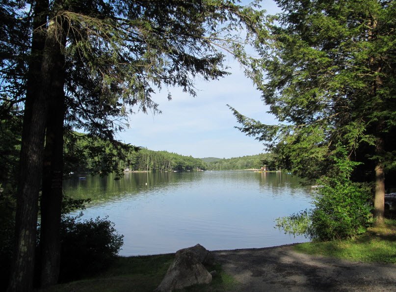 Erving State Forest, Massachusetts, USA